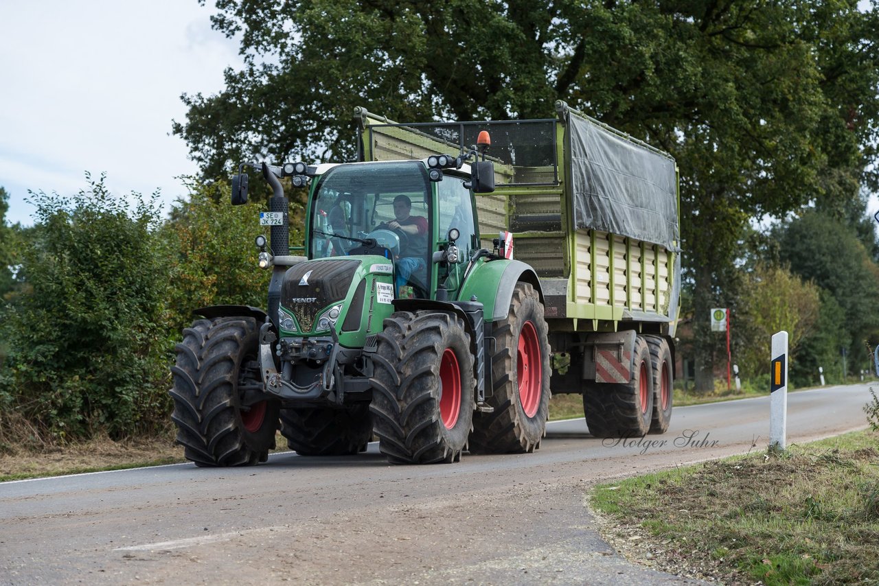 Bild 149 - Maisernte